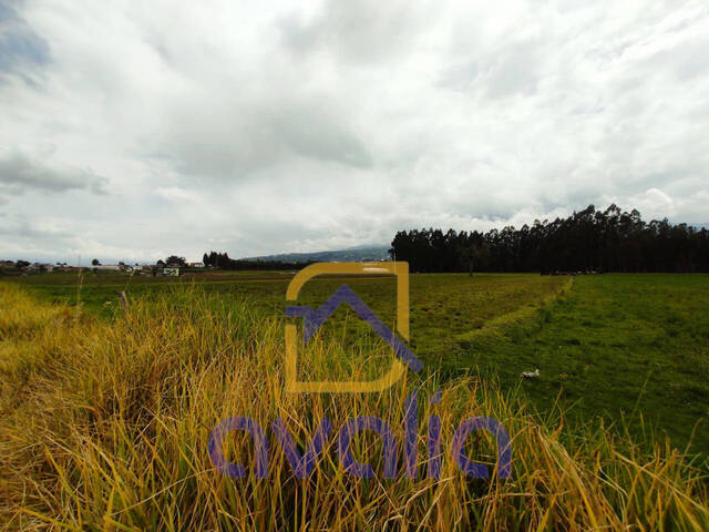#AVLT016 - Terreno para Venta en Riobamba - H - 3