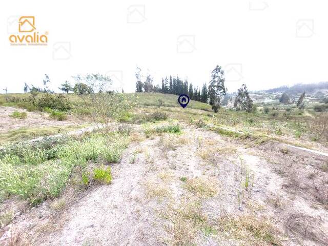 #AVLT242 - Terreno para Venta en Guano - H - 3