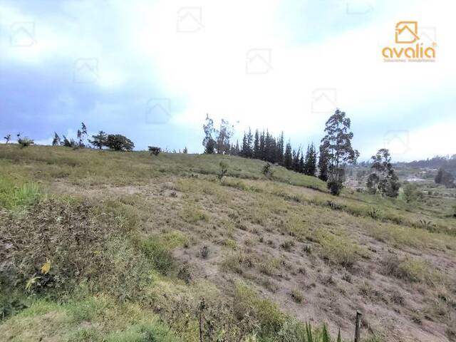 #AVLT242 - Terreno para Venta en Guano - H - 3