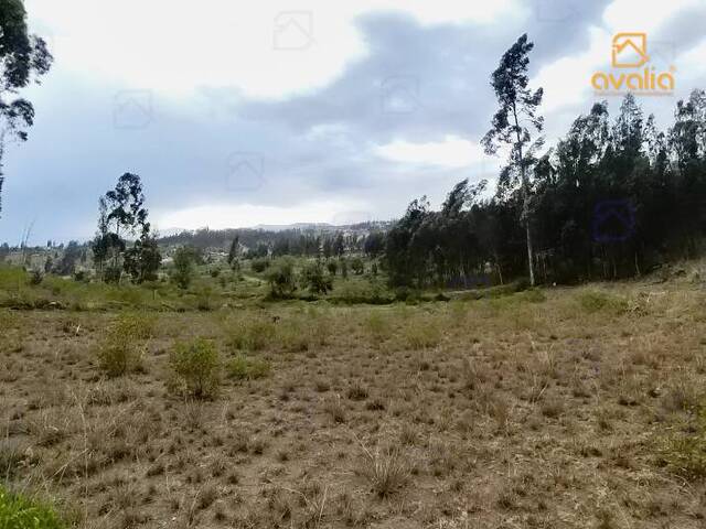 #AVLT242 - Terreno para Venta en Guano - H - 1