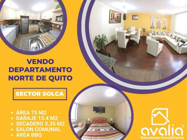 #AVLD248 - Departamento para Venta en Quito - P - 1