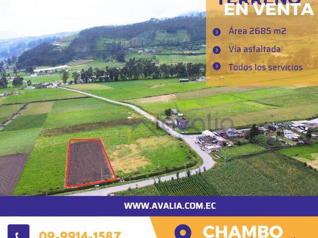 #AVLT285 - Terreno para Venta en Chambo - H
