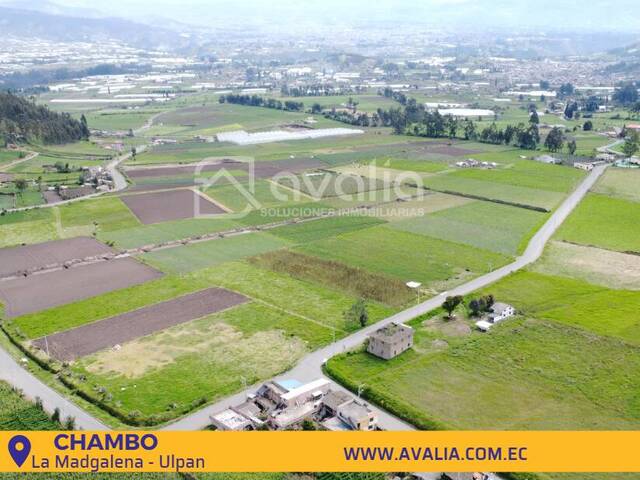 #AVLT285 - Terreno para Venta en Chambo - H - 3