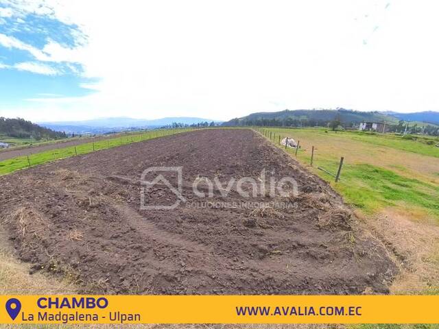 #AVLT285 - Terreno para Venta en Chambo - H - 2