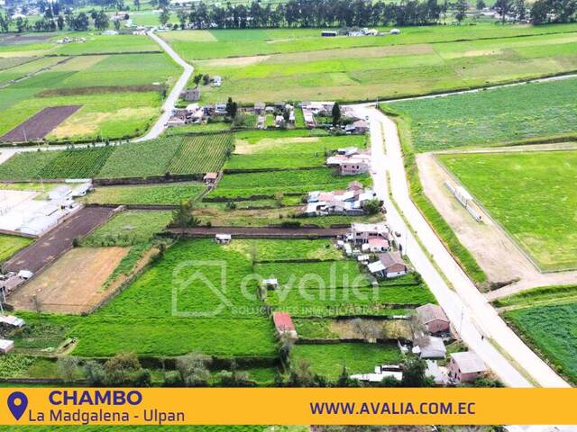 #AVLT286 - Terreno para Venta en Chambo - H - 3