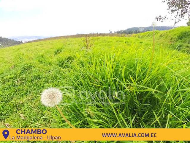 #AVLT286 - Terreno para Venta en Chambo - H - 2