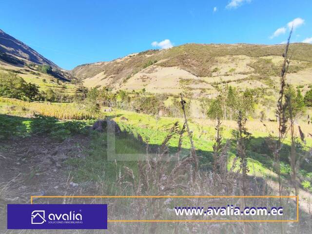 #AVLT358 - Terreno rural para Venta en Alausi - H - 2