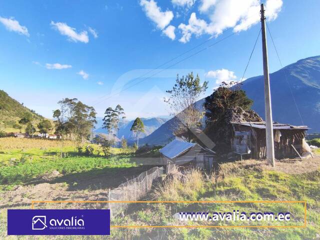 #AVLT358 - Terreno rural para Venta en Alausi - H