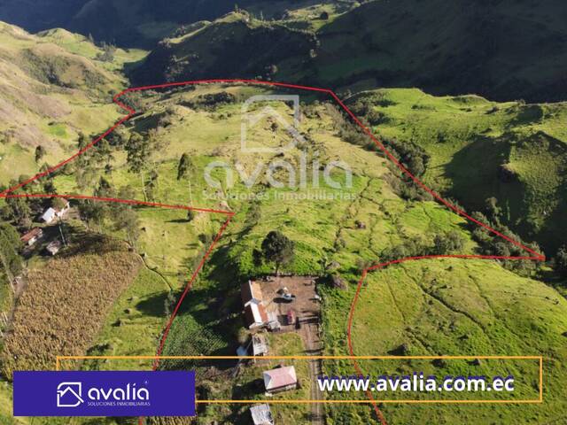 #AVLT165 - Terreno rural para Venta en Alausi - H - 1