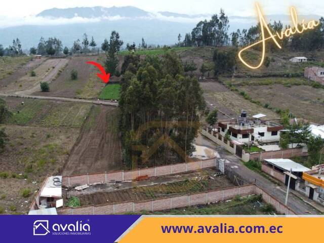 #AVLT210 - Terreno para Venta en Riobamba - H - 2
