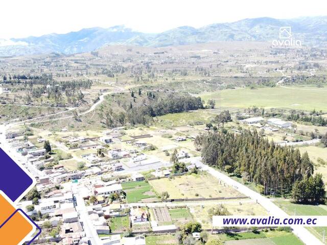 #AVLT369 - Terreno para construcción para Venta en Guano - H - 1