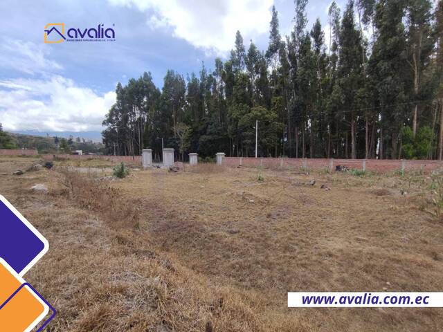 #AVLT369 - Terreno para construcción para Venta en Guano - H