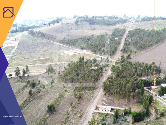 #AVLT376 - Terreno para Venta en Guano - H