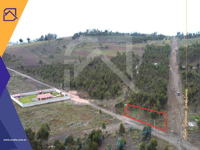 #AVLT376 - Terreno para Venta en Guano - H