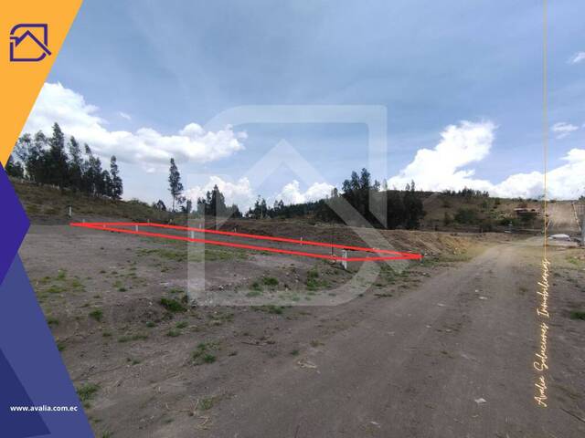 #AVLT302 - Terreno para Venta en Riobamba - H