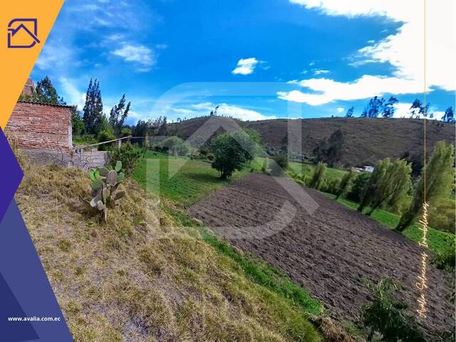 #AVLT304 - Terreno para Venta en Riobamba - H - 1