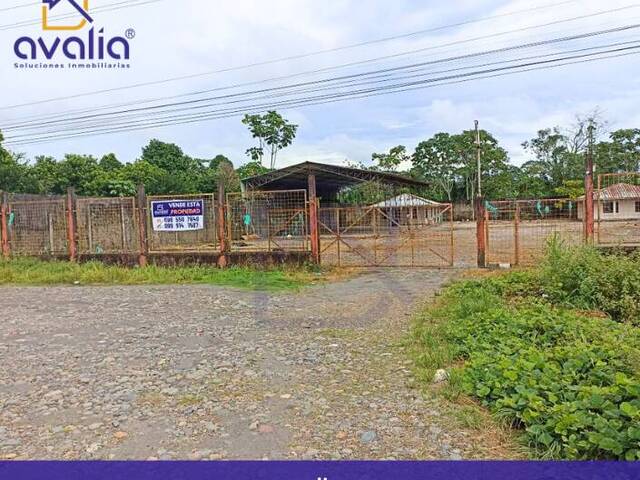 #AVLT392 - Terreno para Venta en Orellana - D