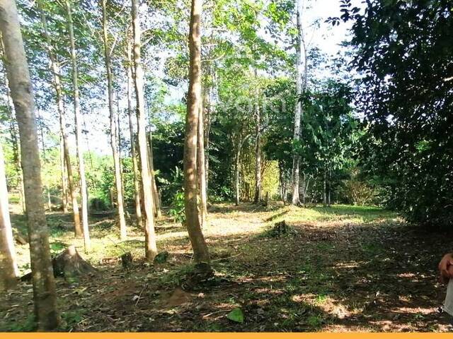 Terreno para Venta en Orellana - 5
