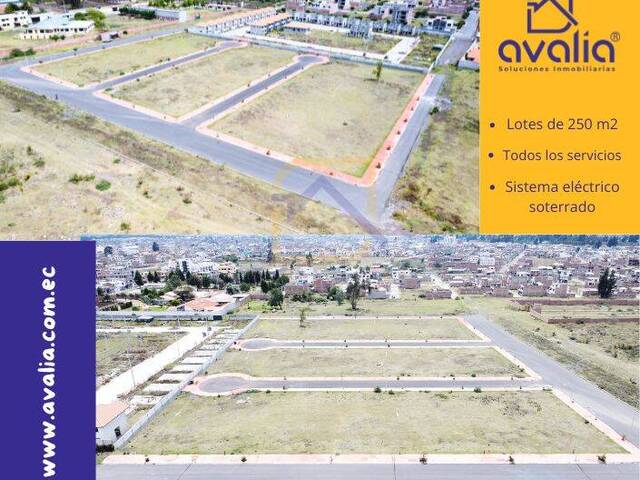 Venta en Hospital Andino - Riobamba