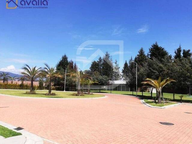Terreno para Venta en Riobamba - 5