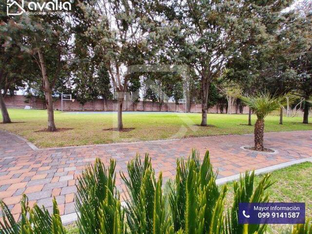 Venta en San Antonio de Las Abras - Riobamba