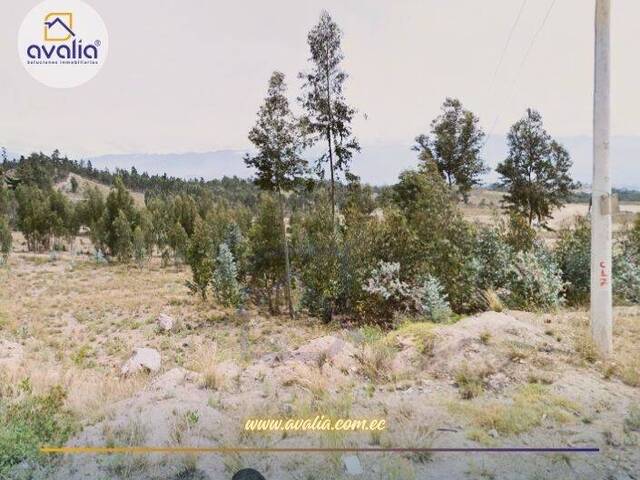 #AVLT432 - Terreno para Venta en Riobamba - H - 3