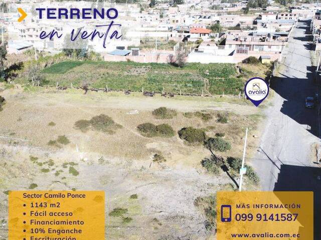 #AVLT433 - Terreno para Venta en Riobamba - H - 1