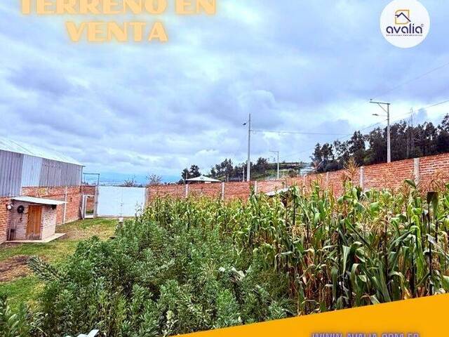 #AVLT437 - Terreno para Venta en Chambo - H