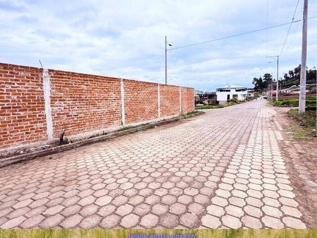 #AVLT437 - Terreno para Venta en Chambo - H