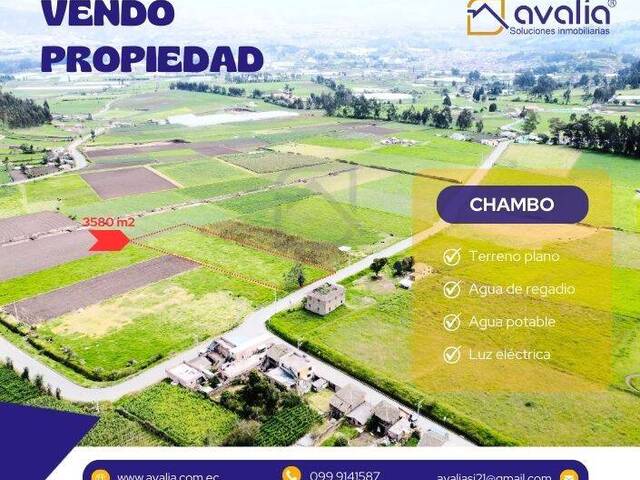 #AVLT438 - Terreno para Venta en Chambo - H