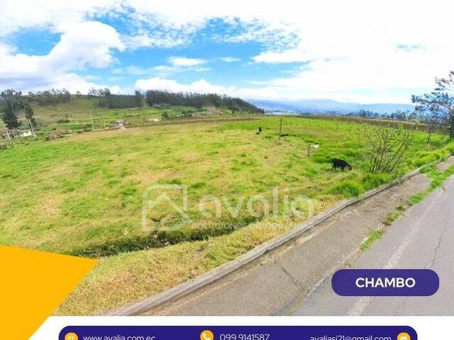#AVLT438 - Terreno para Venta en Chambo - H