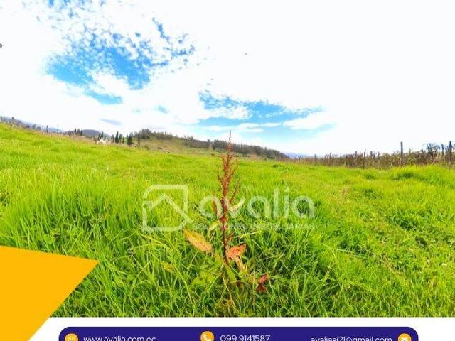 #AVLT438 - Terreno para Venta en Chambo - H