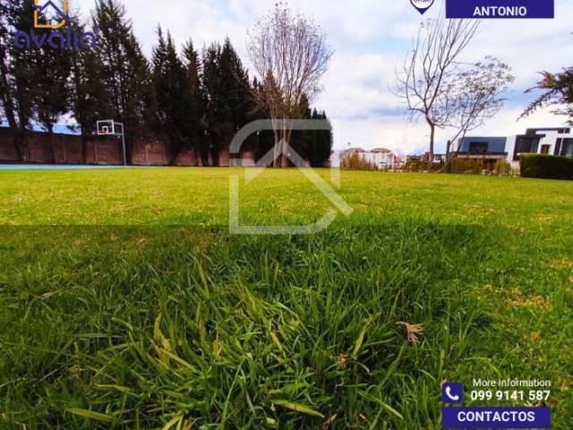 #AVLT457 - Terreno para Venta en Riobamba - H