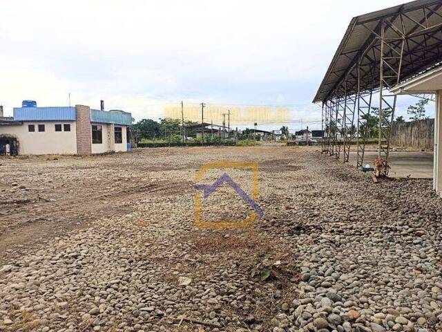 #AVLT466 - Terreno para Venta en Orellana - D