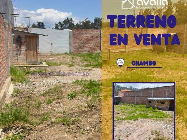 #AVLT469 - Terreno para Venta en Chambo - H