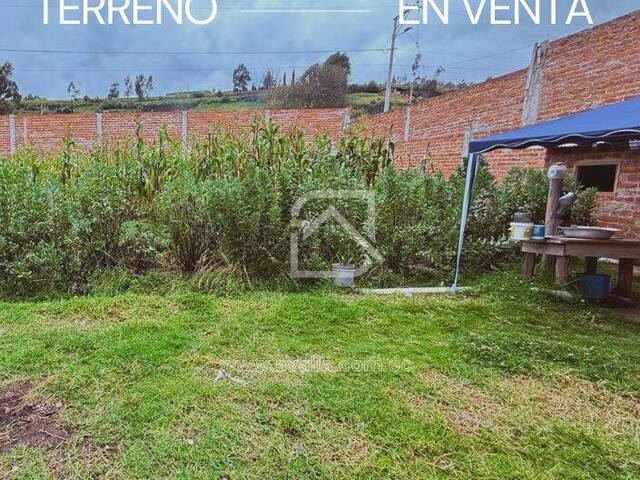 #AVLT469 - Terreno para Venta en Chambo - H
