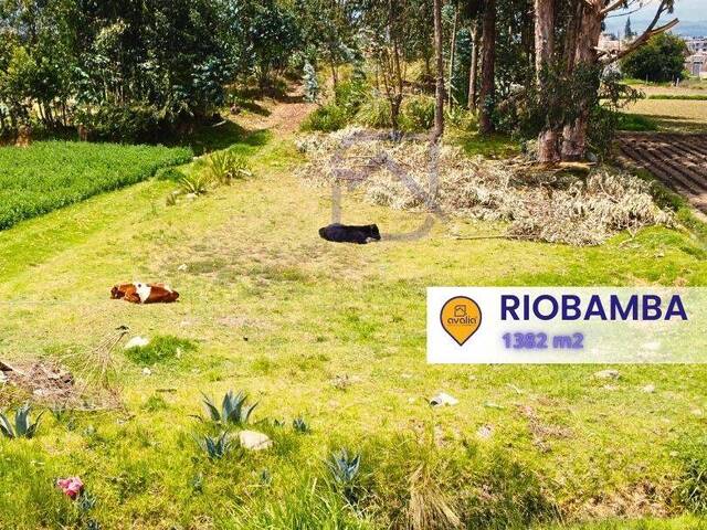 #AVLT415 - Terreno para Venta en Riobamba - H