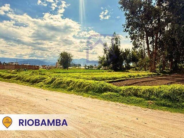 Terreno para Venta en Riobamba - 4