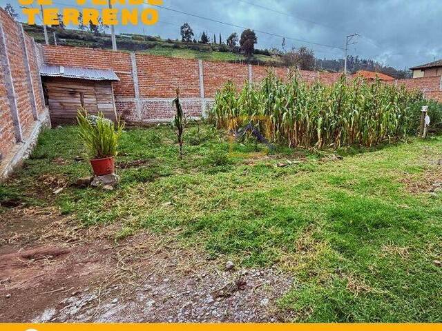 #AVLT472 - Terreno para Venta en Chambo - H
