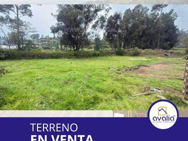 #AVLT475 - Terreno para Venta en Chambo - H