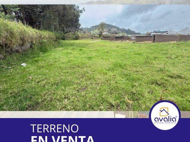 Terreno para Venta en Chambo - 5