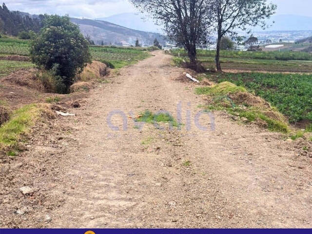 #AVLT479 - Terreno para Venta en Riobamba - H