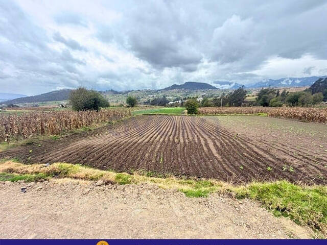Terreno para Venta en Riobamba - 5